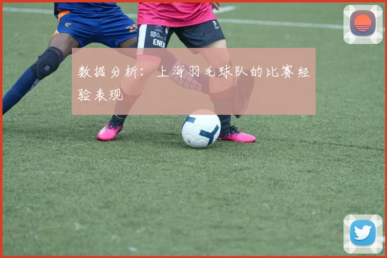 数据分析：上海羽毛球队的比赛经验表现