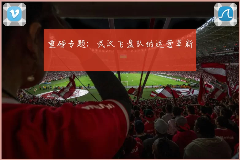 重磅专题：武汉飞盘队的运营革新