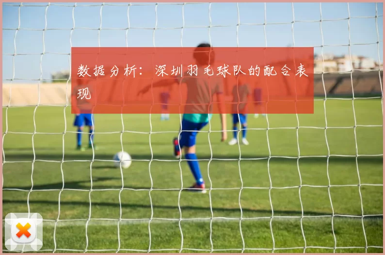 数据分析：深圳羽毛球队的配合表现