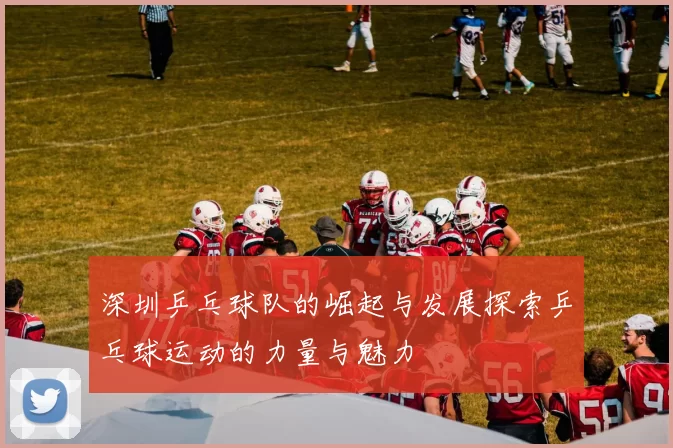 深圳乒乓球队的崛起与发展探索乒乓球运动的力量与魅力