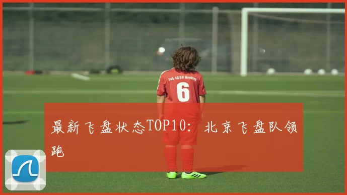 最新飞盘状态TOP10：北京飞盘队领跑