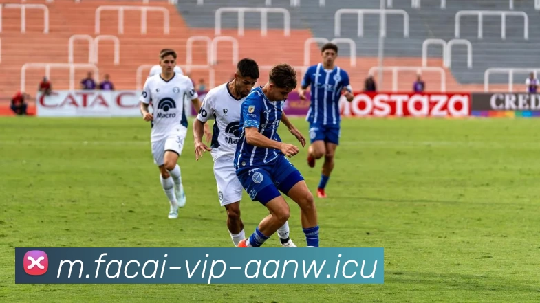 九游体育注册平台生态图